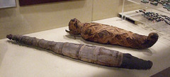 Crocodile & Cat Mummy in the University of Pennsylvania Museum, November 2009