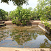 Royal Bathing Pools, Sigiriya