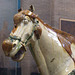 Detail of the Tang Dynasty Horses in the University of Pennsylvania Museum, November 2009