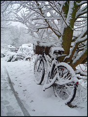 snowy bike