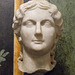 Marble Portrait of Agrippina the Elder in the University of Pennsylvania Museum, November 2009