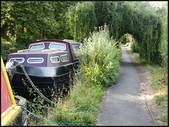 the green returns to the towpath