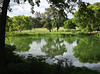 Turtle Pond in Cental Park, June 2012