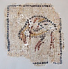Bird Mosaic Floor Fragment in the University of Pennsylvania Museum, November 2009