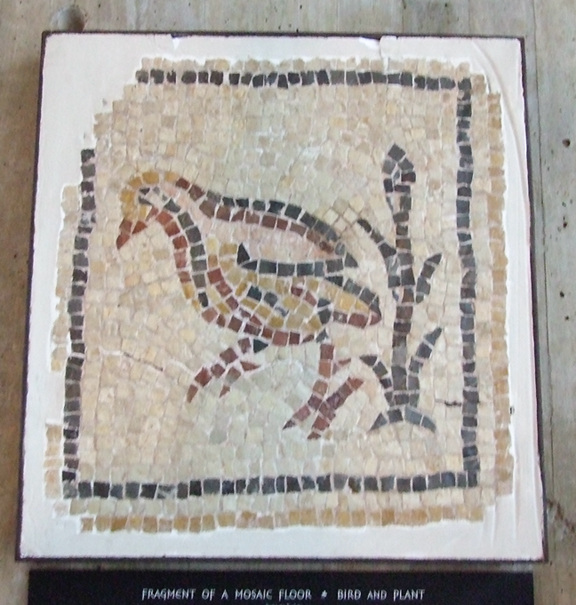 Bird and Plant Mosaic Floor Fragment in the University of Pennsylvania Museum, November 2009