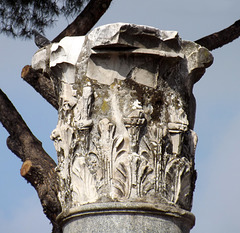 Capital of one of the Columns from the Basilica Ulpia in the Forum of Trajan in Rome, July 2012
