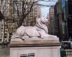 NYPL Library Lion, 2006