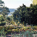 The Heather Garden in Fort Tryon Park, Oct. 2006