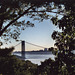 View of the George Washington Bridge From Fort Tryon Park, Oct. 2006