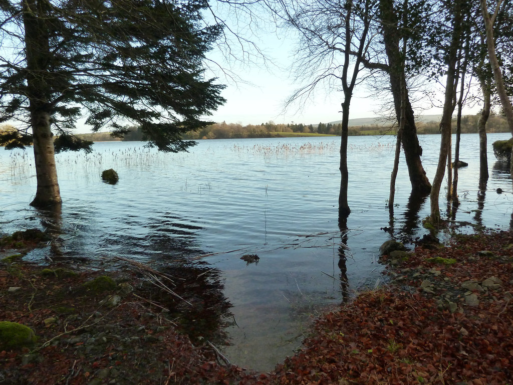 Lough Cutra - Dec 2013