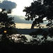 Sunset in Fort Tryon Park, Sept. 2007
