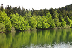 Lac du Bouchet