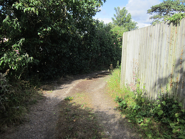 First corner of the driveway looking down towards the road