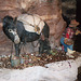 Prospector and Mule in Bally's Wild West Hotel and Casino, Atlantic City, Aug. 2006