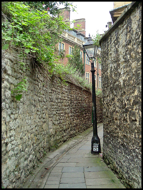 Bulwarks Lane lamppost