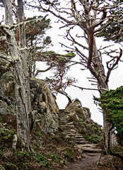 Trail Around The Cliff