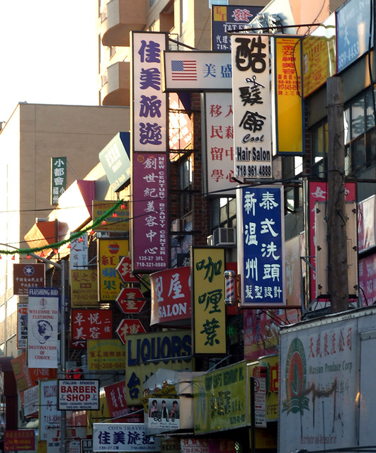 Signs in Flushing, January 2011