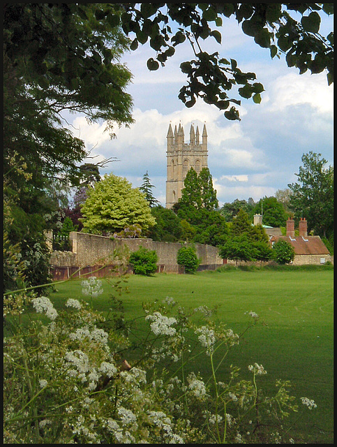Magdalen from the meadow