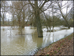 River Cherwell in flood
