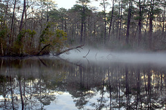 Creek Mist 4