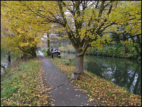 Hythe Bridge path in autumn