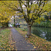 Hythe Bridge path in autumn