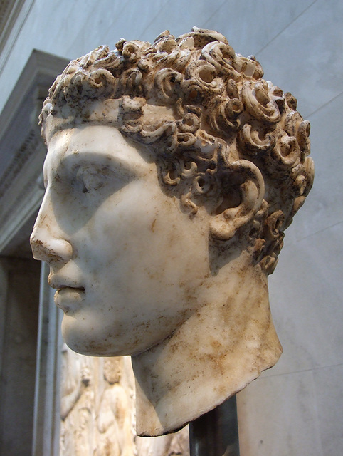 Marble Head of an Athlete in the Metropolitan Museum of Art, July 2007