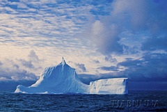 One of the first icebergs