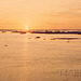 Sea ice sunset