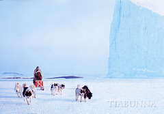 Dog team passing iceberg