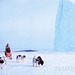 Dog team passing iceberg