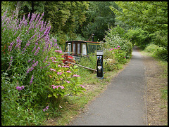 canal path in summer