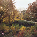 The Brooklyn Botanic Garden, Nov. 2006