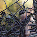 Decorative Panel of a Spider's Web at the Brooklyn Botanic Garden, Nov. 2006