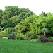 The Brooklyn Botanic Garden, July 2008