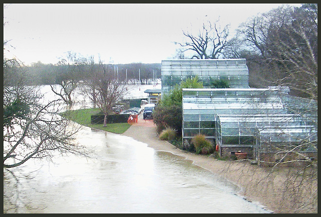 flood at Botanical Gardens