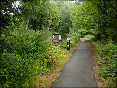 green walk at Hythe Bridge