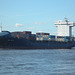 Feeder-Containerschiff  ADELINA  D