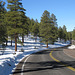 Sunset Crater Volcano NM 1636a