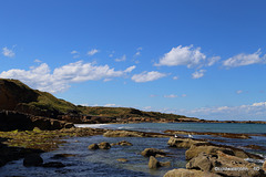Moray Firth Coast