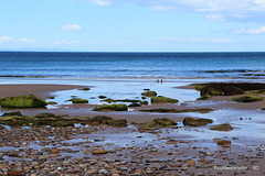 Moray Firth Coast
