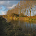 Oxford Canal near Enslow