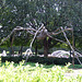 Spider by Louise Bourgeois in the National Gallery Sculpture Garden, September 2009