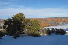 Navajo National Monument 1673a