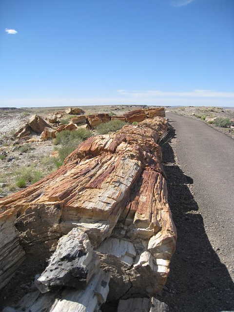 Petrified Forest National Park 2313a