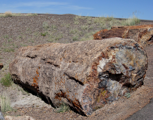 Petrified Forest National Park 2308