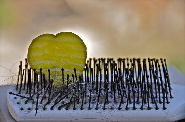 Pickle on a Hair Brush