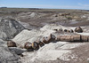 Petrified Forest National Park 2311a