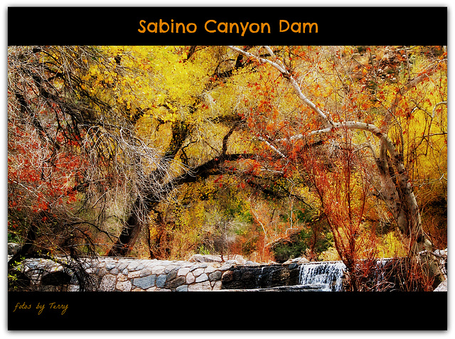 Sabino Canyon Dam