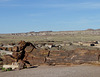 Petrified Forest National Park 2327a